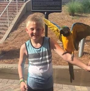 Meet your Posher, Jase